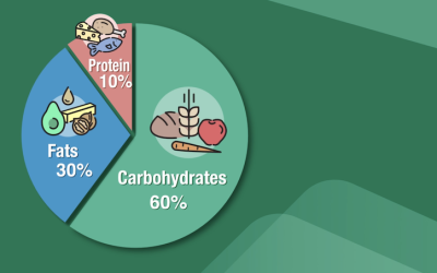 276. How to Navigate the Catalytic Diet